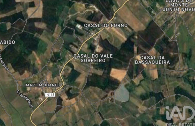 Terreno para Venda em Cadaval e Pêro Moniz Foto 8