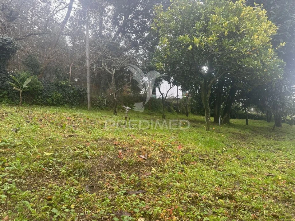 Terreno para Venda em Lomar e Arcos Foto 2