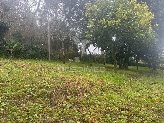Terreno para Venda em Lomar e Arcos Foto 2