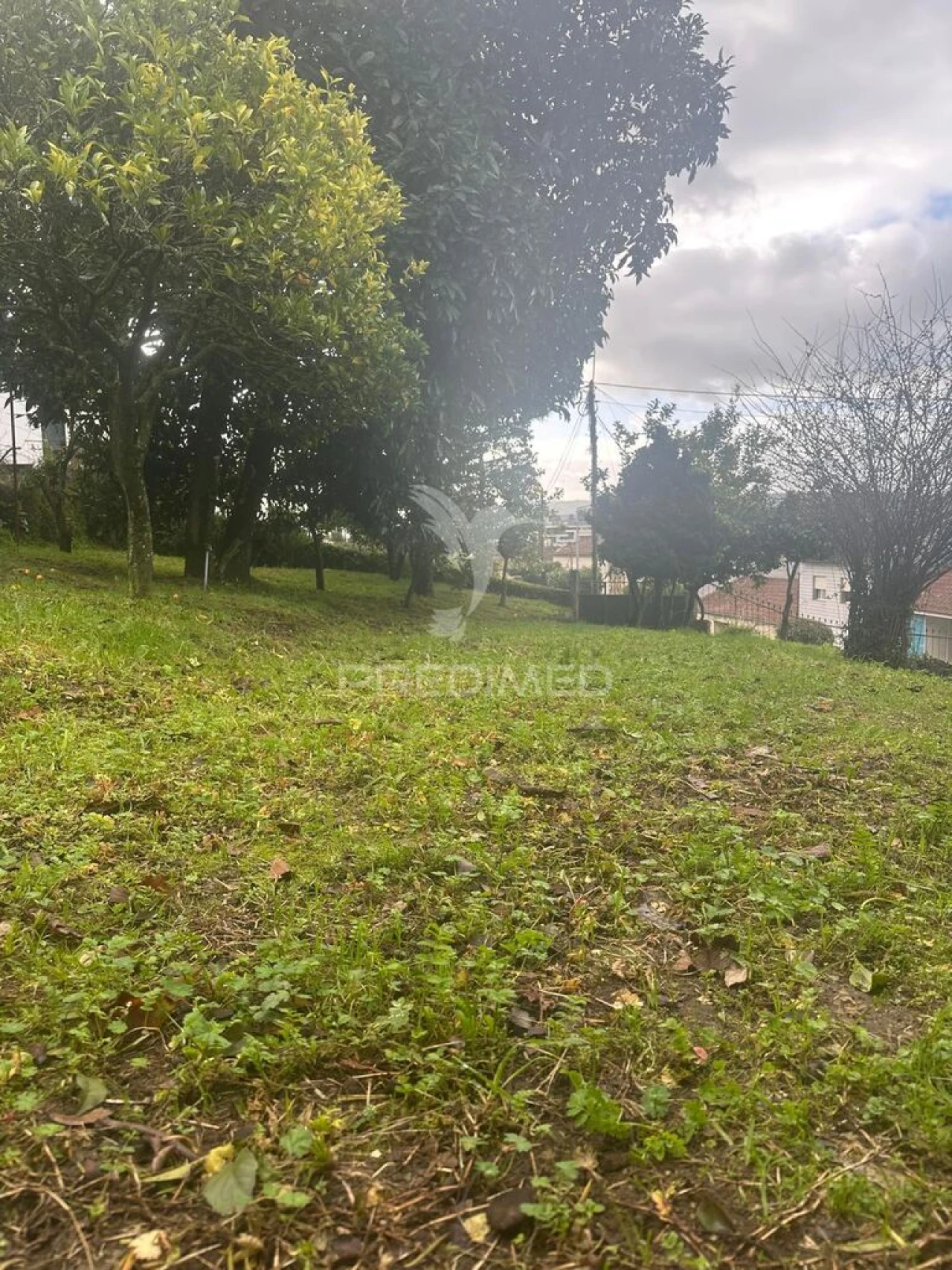 Terreno para Venda em Lomar e Arcos Foto 4