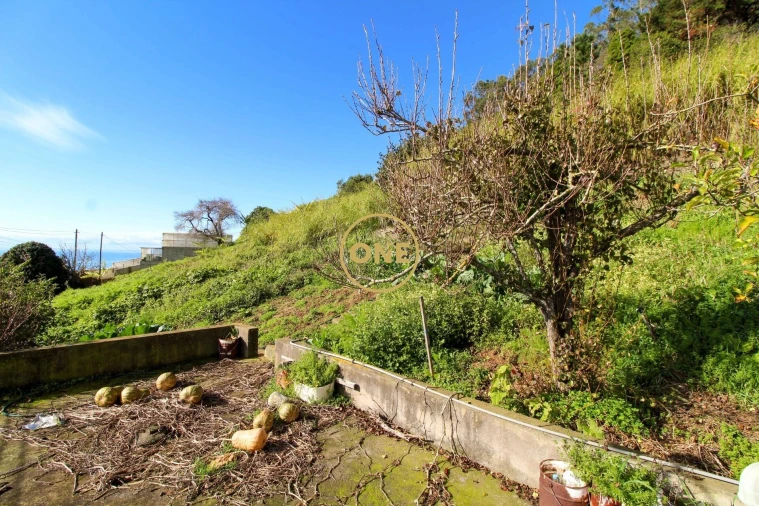 Moradia T3 para Venda em Quinta Grande Foto 29