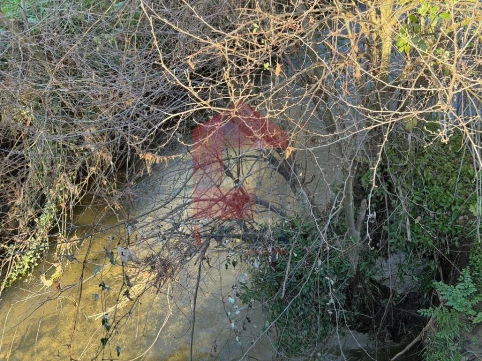 Quinta para Venda em Poiares Foto 23