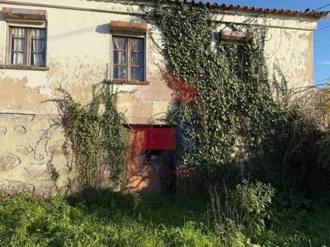 Quinta para Venda em Poiares Foto 5