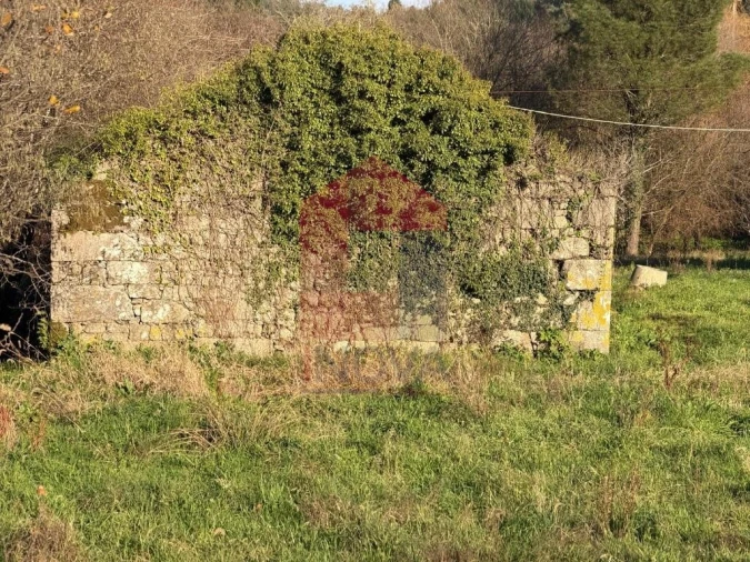 Quinta para Venda em Poiares Foto 11