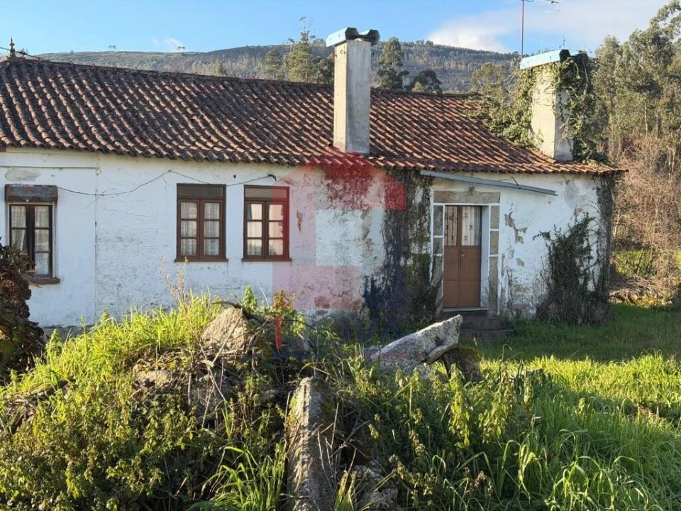 Quinta para Venda em Poiares Foto 21