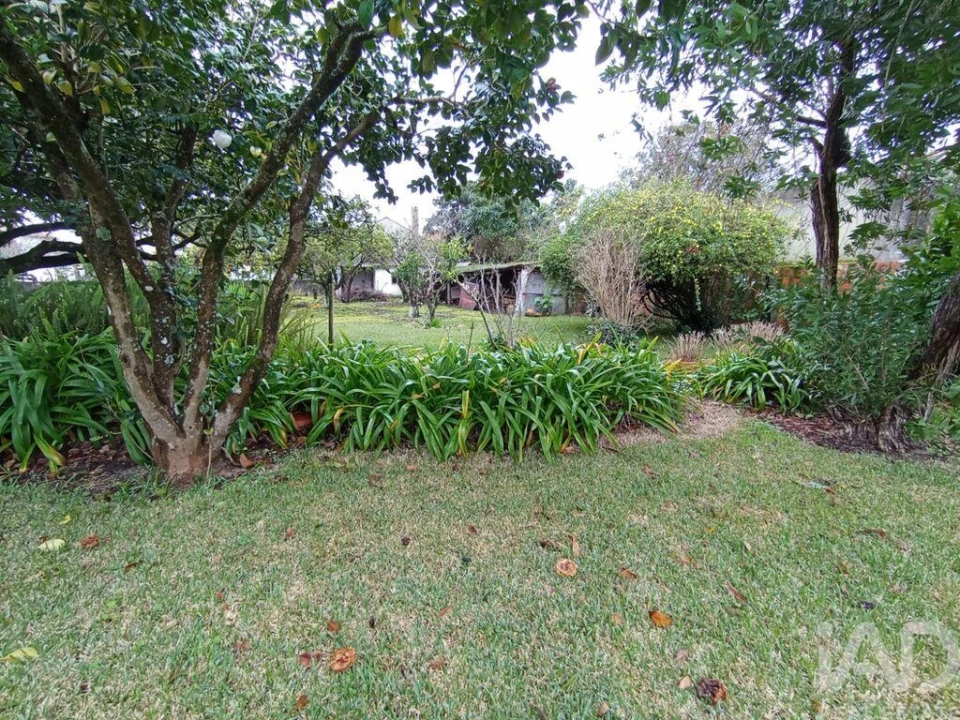 Moradia T4 para Venda em Vilamar e Corticeiro de Cima Foto 10