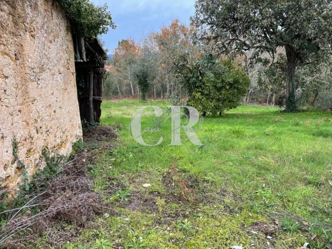 Terreno para Venda em Poiares (Santo Andre) Foto 3