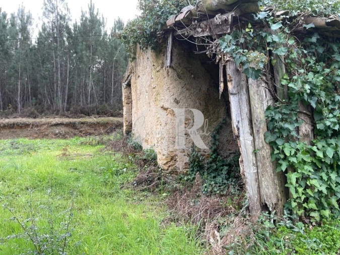 Terreno para Venda em Poiares (Santo Andre) Foto 5