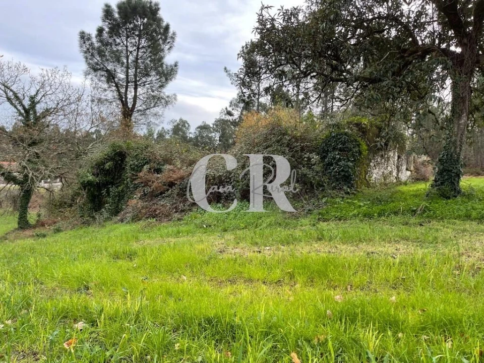 Terreno para Venda em Poiares (Santo Andre) Foto 7