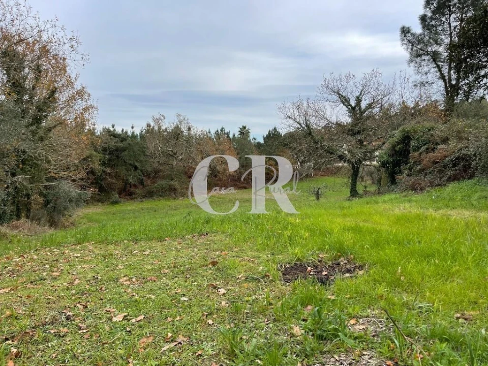 Terreno para Venda em Poiares (Santo Andre) Foto 6