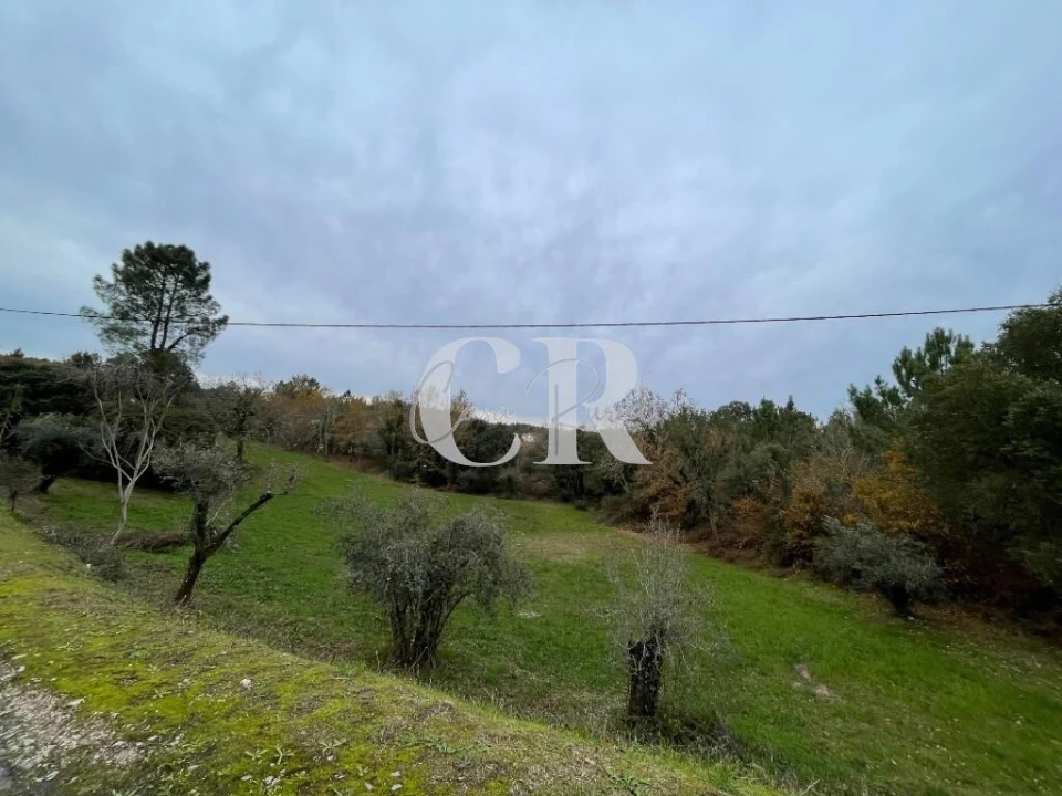 Terreno para Venda em Poiares (Santo Andre) Foto 10