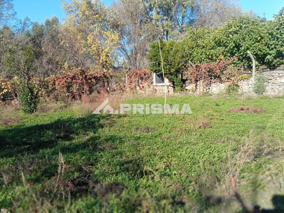 Quinta T1 para Venda em Escalos de Baixo e Mata Foto 8