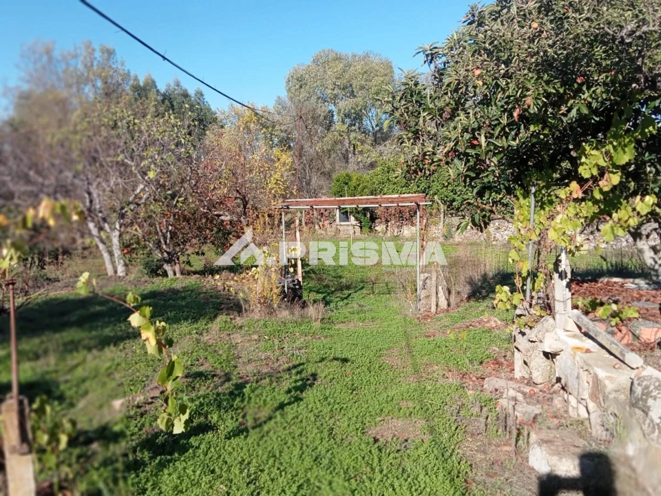 Quinta T1 para Venda em Escalos de Baixo e Mata Foto 23