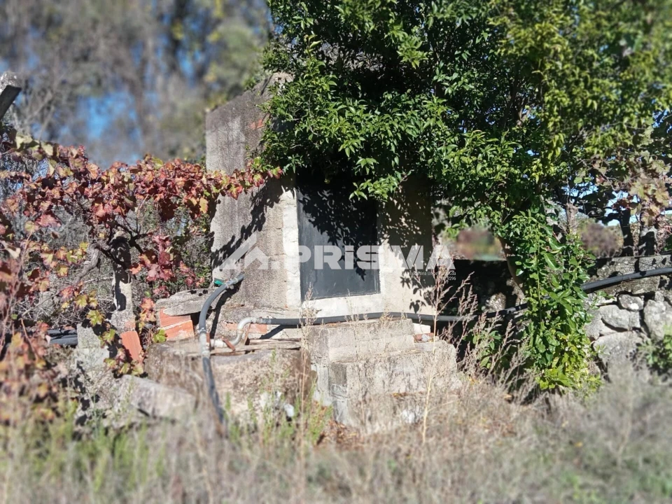 Quinta T1 para Venda em Escalos de Baixo e Mata Foto 12