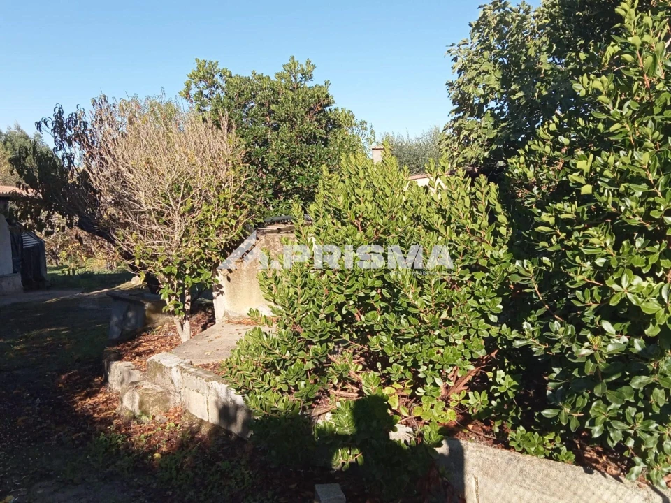 Quinta T1 para Venda em Escalos de Baixo e Mata Foto 35