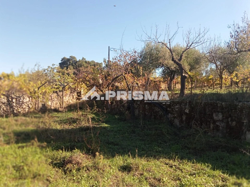 Quinta T1 para Venda em Escalos de Baixo e Mata Foto 15
