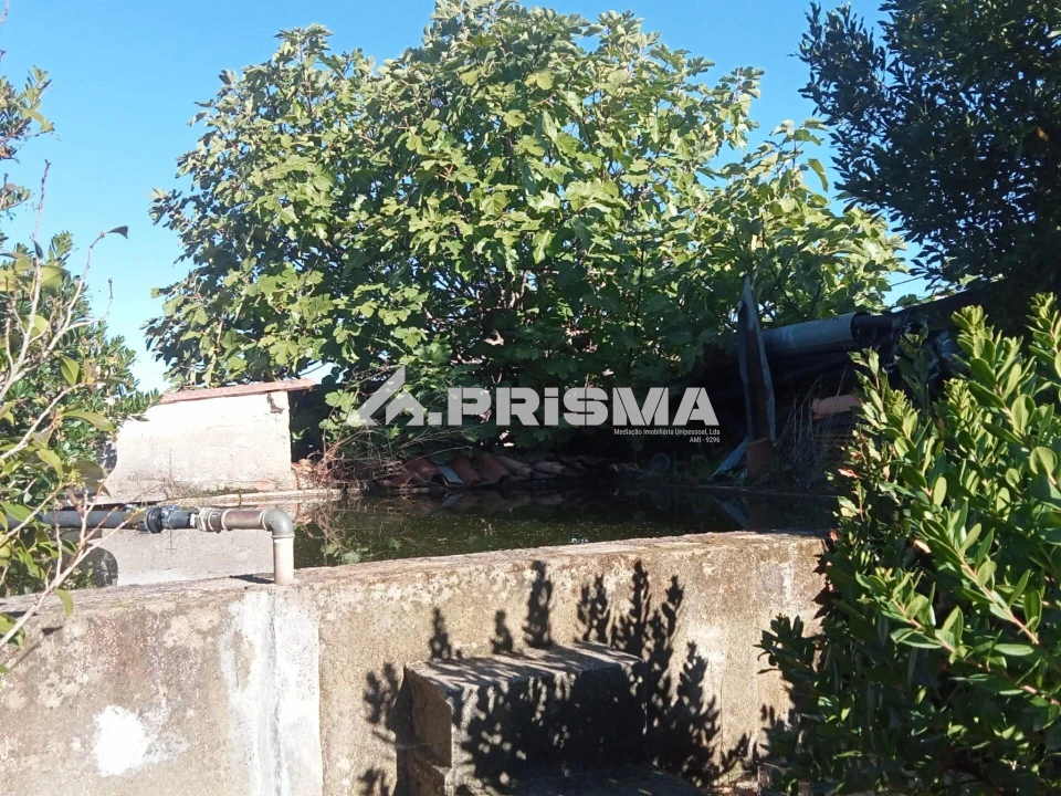 Quinta T1 para Venda em Escalos de Baixo e Mata Foto 33