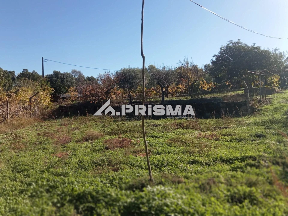 Quinta T1 para Venda em Escalos de Baixo e Mata Foto 11