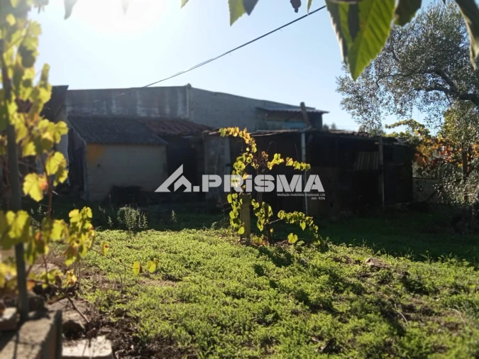 Quinta T1 para Venda em Escalos de Baixo e Mata Foto 10