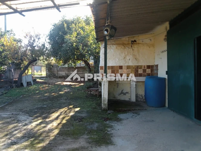 Quinta T1 para Venda em Escalos de Baixo e Mata Foto 26