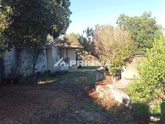 Quinta T1 para Venda em Escalos de Baixo e Mata Foto 34