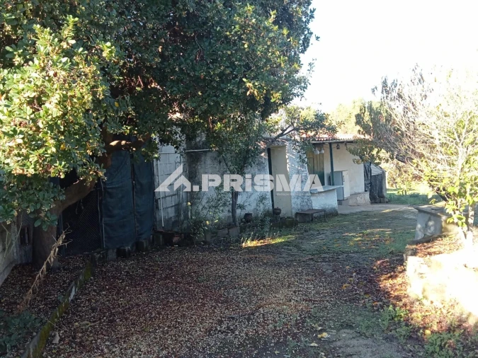 Quinta T1 para Venda em Escalos de Baixo e Mata Foto 36