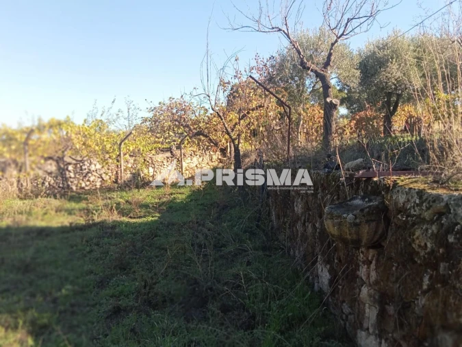 Quinta T1 para Venda em Escalos de Baixo e Mata Foto 13