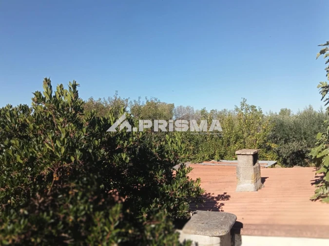 Quinta T1 para Venda em Escalos de Baixo e Mata Foto 2