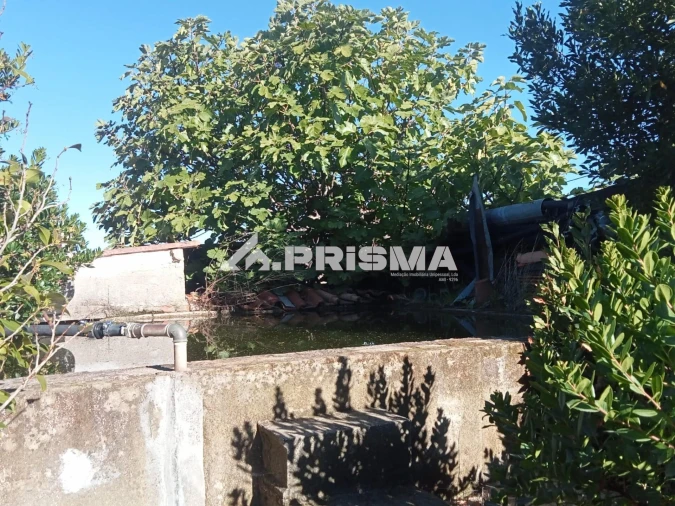 Quinta T1 para Venda em Escalos de Baixo e Mata Foto 33