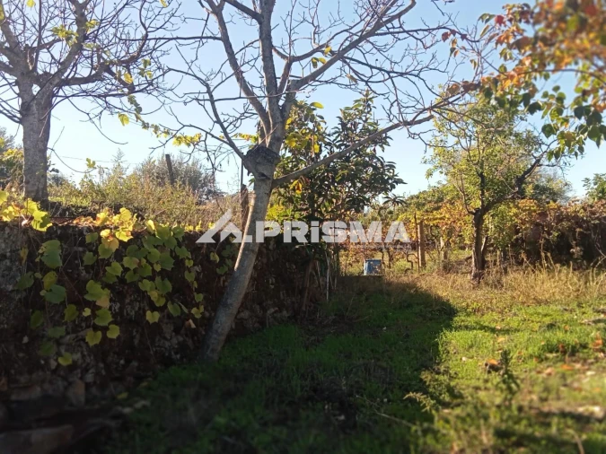 Quinta T1 para Venda em Escalos de Baixo e Mata Foto 6