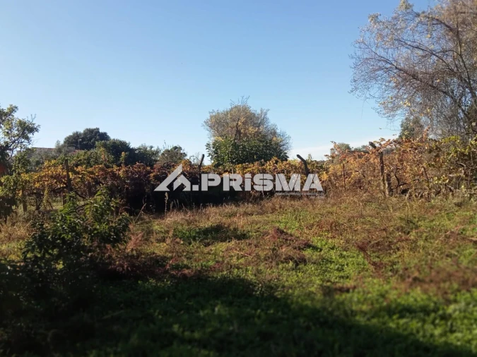 Quinta T1 para Venda em Escalos de Baixo e Mata Foto 17