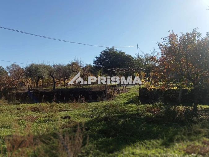 Quinta T1 para Venda em Escalos de Baixo e Mata Foto 7