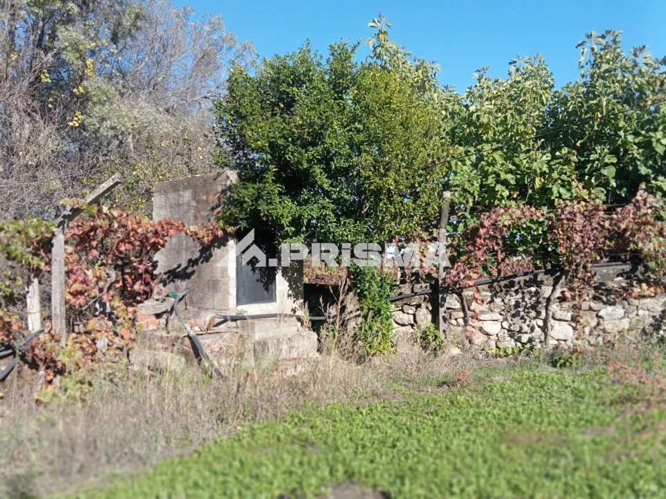 Quinta T1 para Venda em Escalos de Baixo e Mata Foto 5