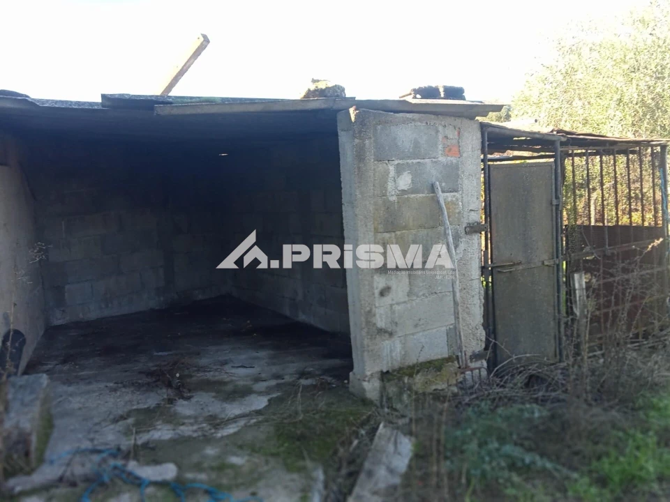 Quinta T1 para Venda em Escalos de Baixo e Mata Foto 16