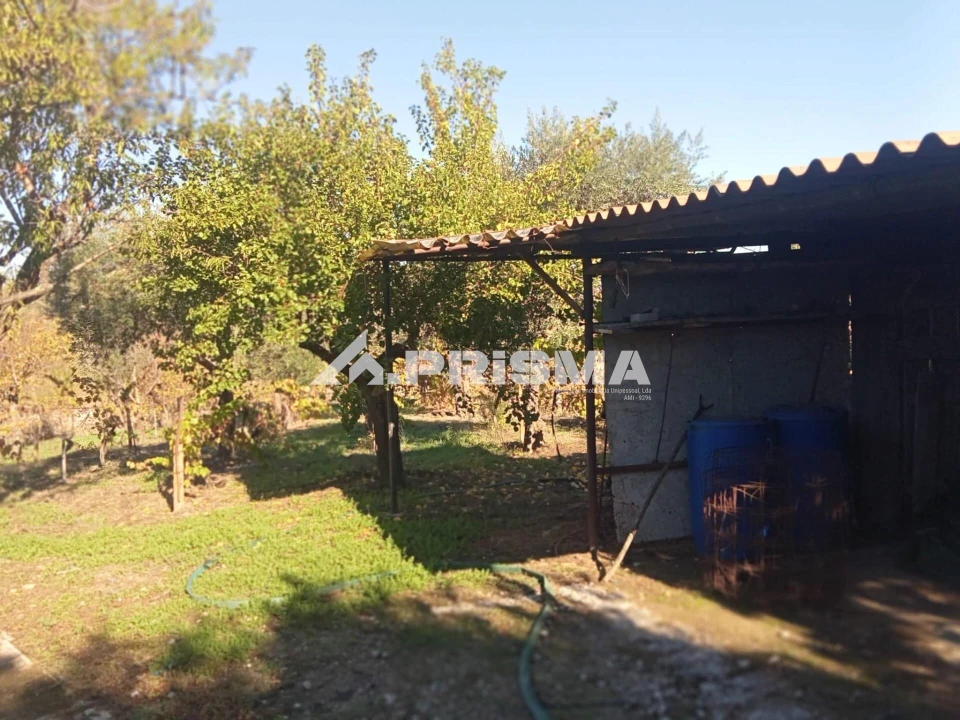 Quinta T1 para Venda em Escalos de Baixo e Mata Foto 30