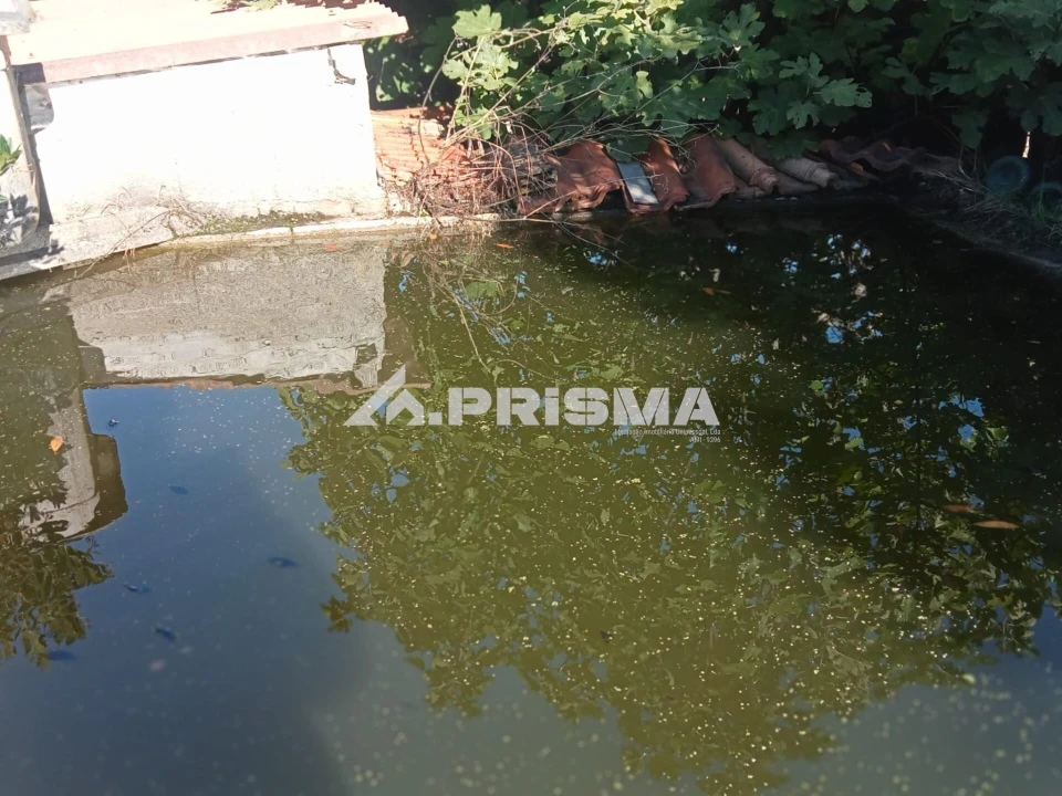 Quinta T1 para Venda em Escalos de Baixo e Mata Foto 1