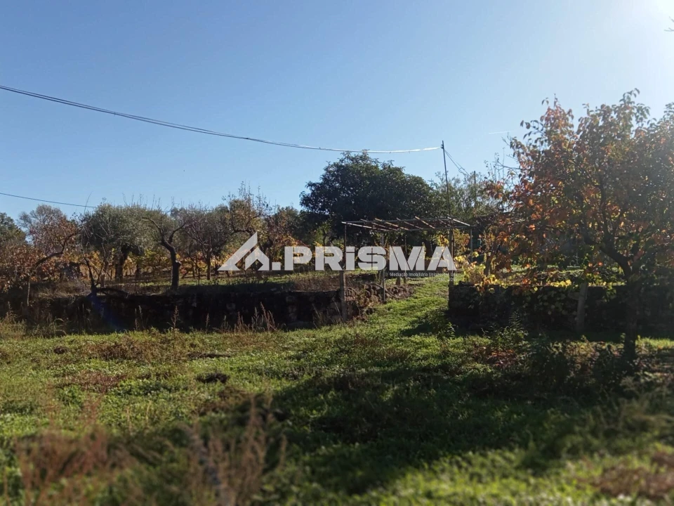 Quinta T1 para Venda em Escalos de Baixo e Mata Foto 7