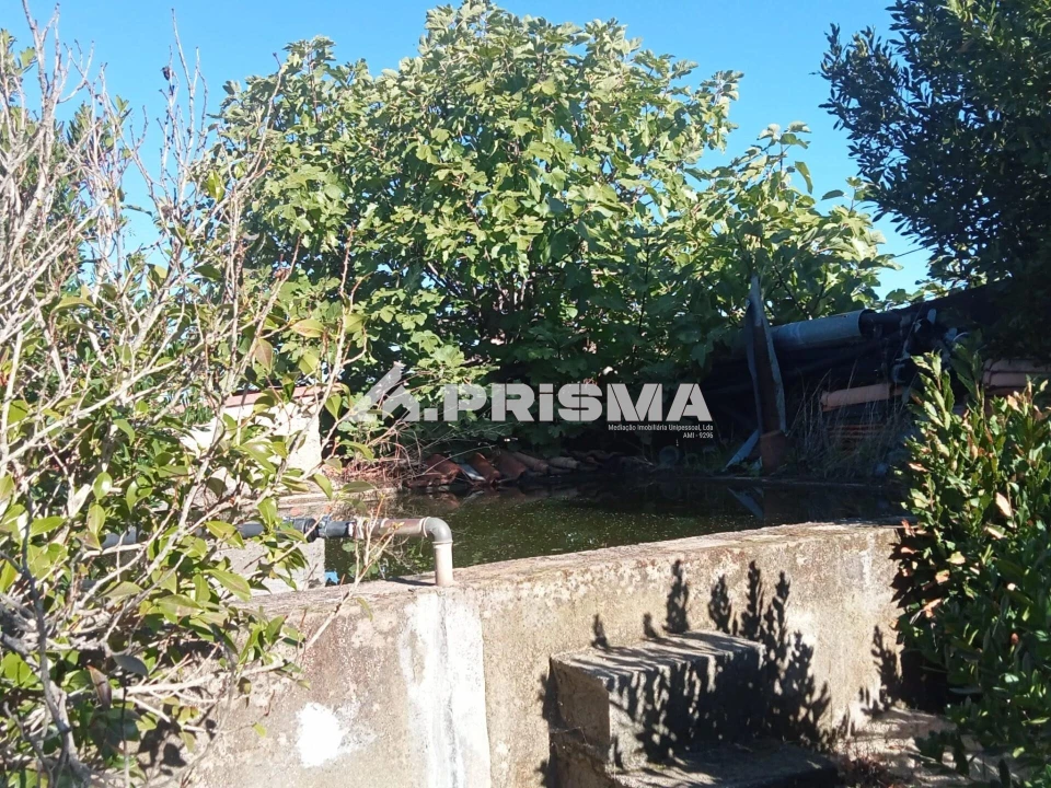 Quinta T1 para Venda em Escalos de Baixo e Mata Foto 3