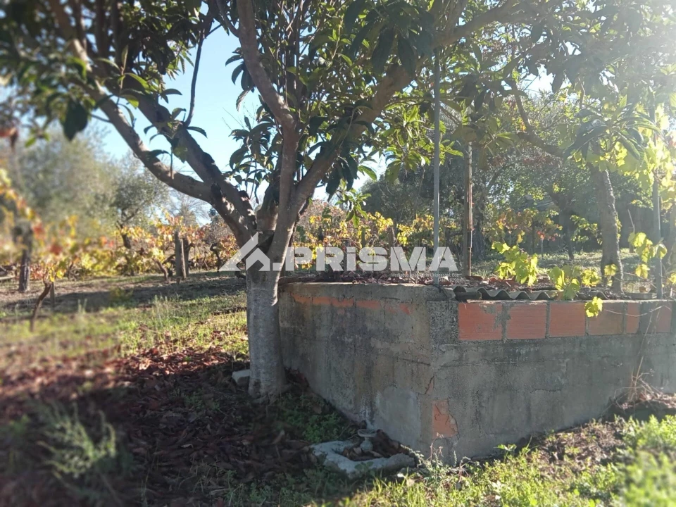 Quinta T1 para Venda em Escalos de Baixo e Mata Foto 18