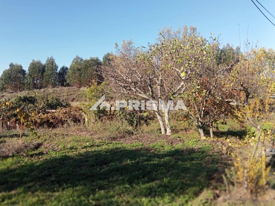 Quinta T1 para Venda em Escalos de Baixo e Mata Foto 21