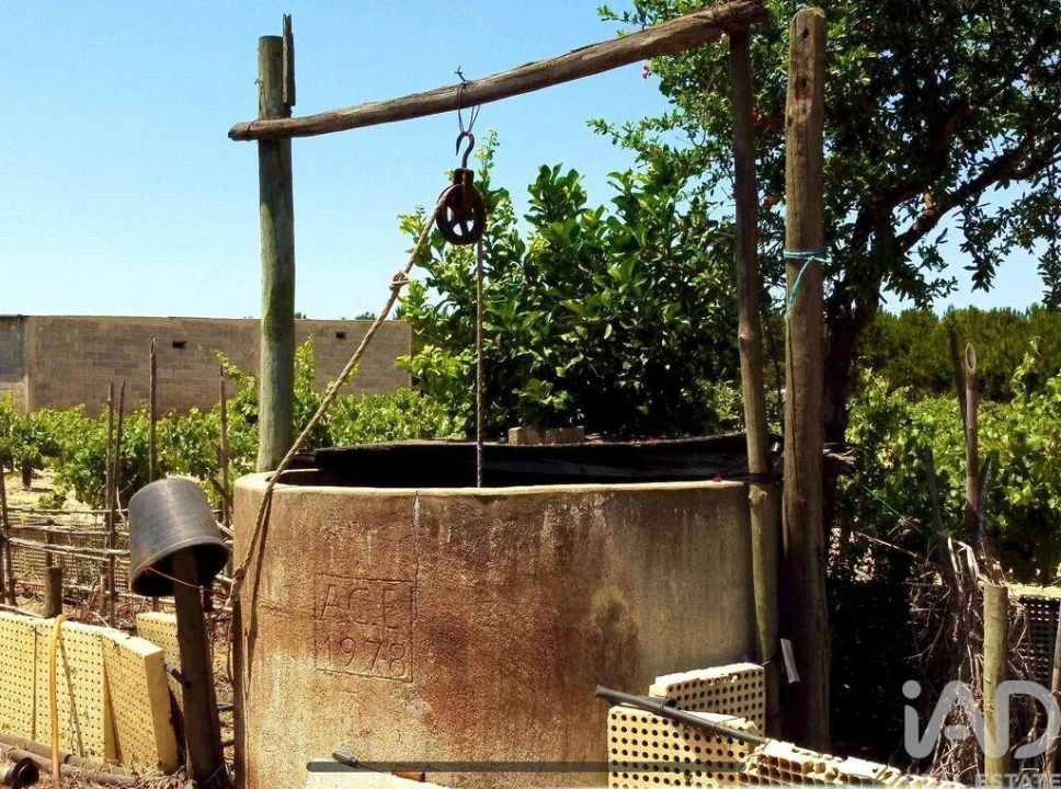 Terreno para Venda em Benfica do Ribatejo Foto 11