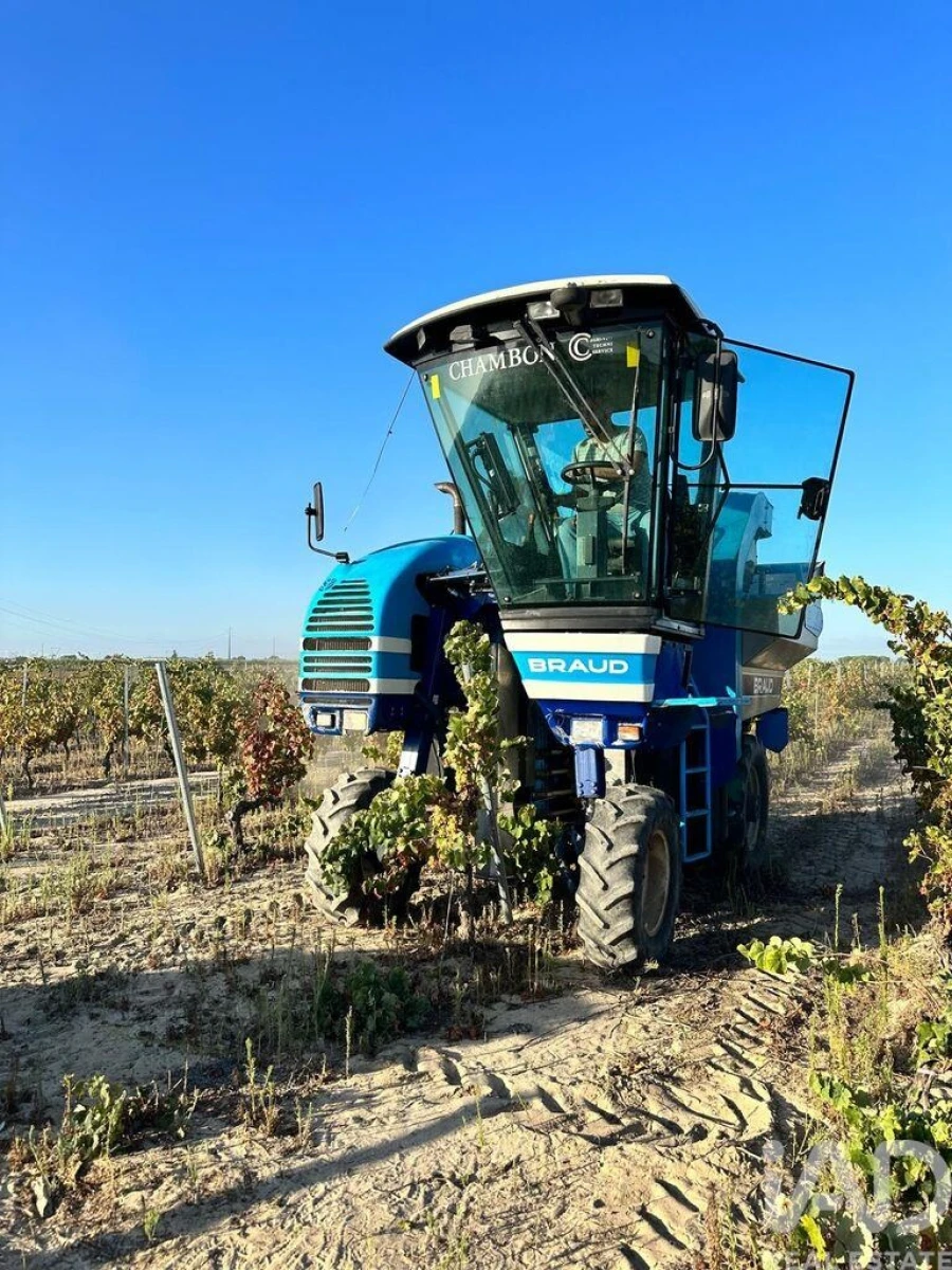 Terreno para Venda em Benfica do Ribatejo Foto 6