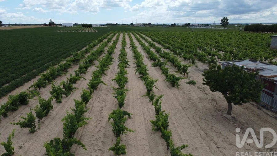 Terreno para Venda em Benfica do Ribatejo Foto 4