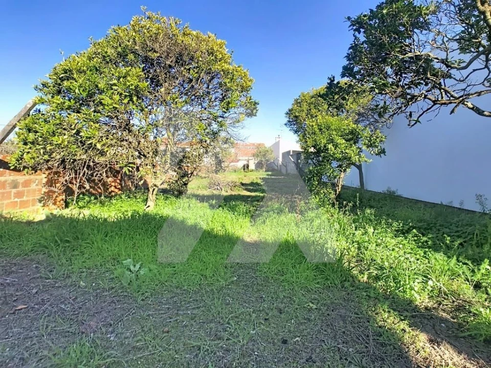 Moradia T3 para Venda em Ovar, São João, Arada e São Vicente de Pereira Jusã Foto 18