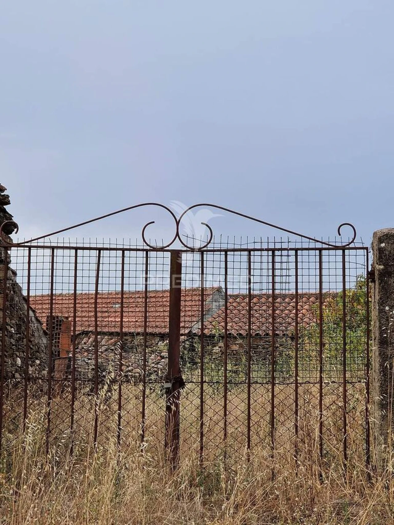 Terreno para Venda em Monfortinho e Salvaterra do Extremo Foto 12