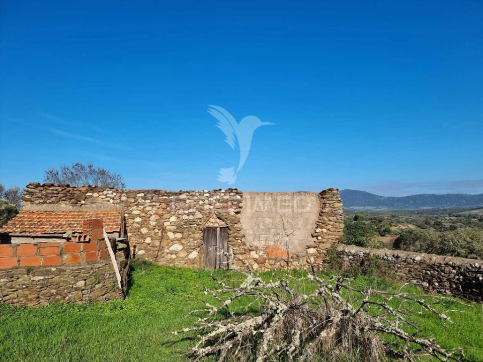 Terreno para Venda em Monfortinho e Salvaterra do Extremo Foto 11