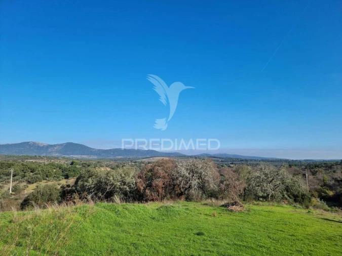 Terreno para Venda em Monfortinho e Salvaterra do Extremo Foto 1