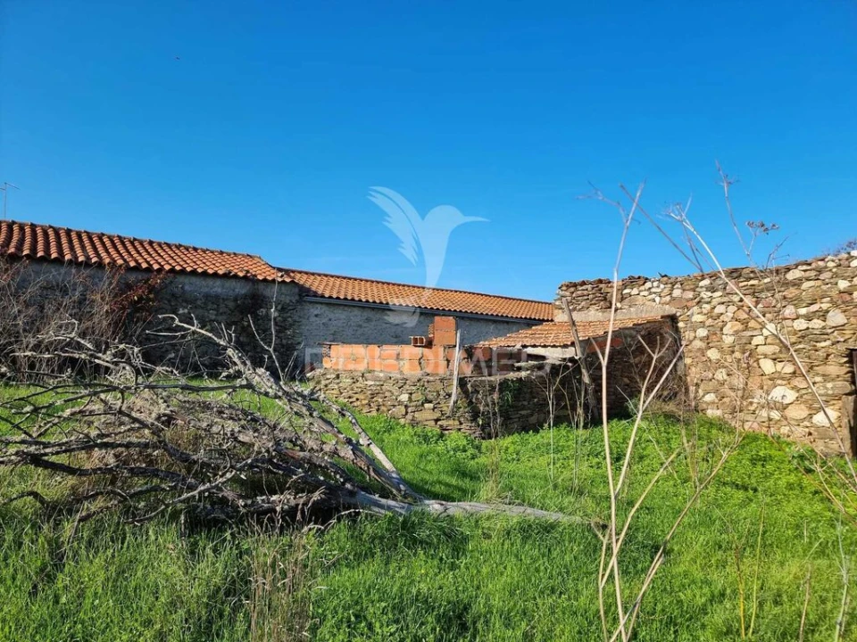 Terreno para Venda em Monfortinho e Salvaterra do Extremo Foto 7