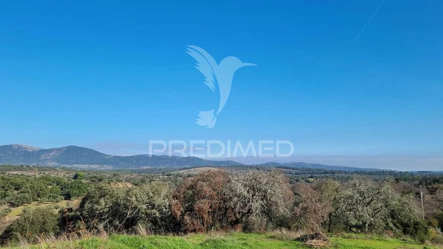 Terreno para Venda em Monfortinho e Salvaterra do Extremo