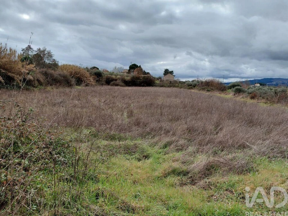 Quinta para Venda em Ferro Foto 5